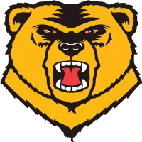 Western New England University