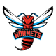 Logo of Delaware State University