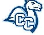 Logo of Connecticut College