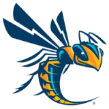 Logo of Cedarville University