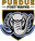 Purdue University Fort Wayne logo