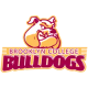 Brooklyn College Logo - College Sports School on RallyFuel Logo of Brooklyn College