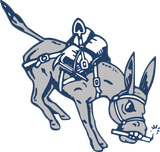 Logo of Colorado School of Mines