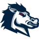 University of South Carolina Aiken Logo - College Sports School on RallyFuel Logo of University of South Carolina Aiken