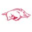 University of Arkansas logo