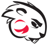 Logo of Blackburn College