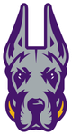 University at Albany Logo - College Sports School on RallyFuel Logo of University at Albany