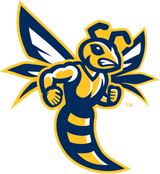 Logo of Emory & Henry University