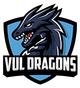 Virginia University of Lynchburg Logo - College Sports School on RallyFuel Logo of Virginia University of Lynchburg
