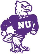 Logo of Niagara University