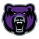 University of Central Arkansas Logo - College Sports School on RallyFuel Logo of University of Central Arkansas