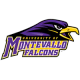 Logo of University of Montevallo