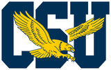 Logo of Coppin State University