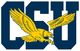 Coppin State University Logo - College Sports School on RallyFuel Logo of Coppin State University