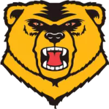 Logo of Western New England University