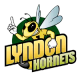 Logo of Vermont State University Lyndon